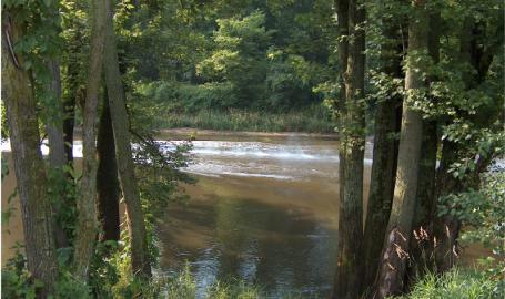 Lake County Parks Outdoors Grand Kankakee Marsh Lowell