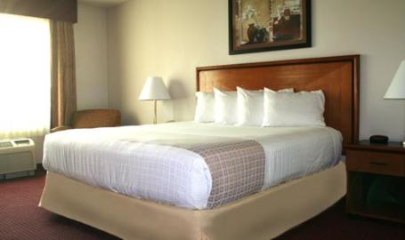 Majestic Star Hotel, King Bed