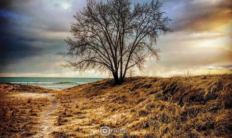 Marquette Park by nikibaz