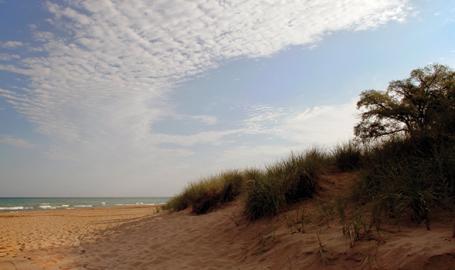 Porter Beach