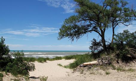 Porter Beach 2