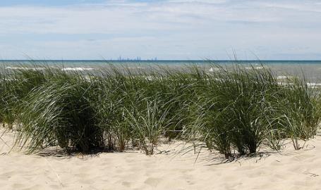 Porter Beach 2
