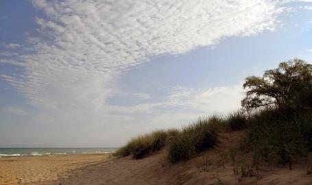 Porter Beach