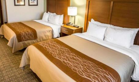 Double Queen Room Comfort Inn Hobart