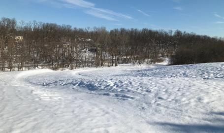 Rogers Lakewood Park sledding hill