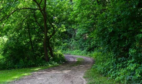 Sunset Hill County Park - trail
