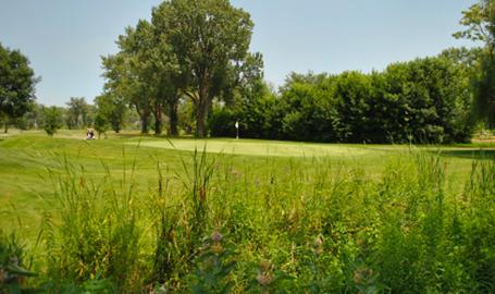 Wicker Memorial Park golf