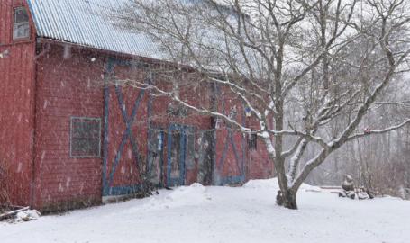 Art-barn-school-of-art