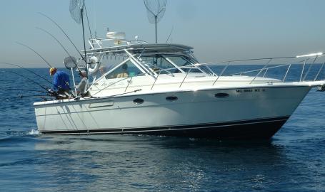 Cruiser