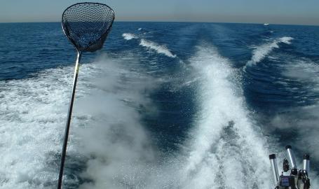 Running-In-North-Coast Charters