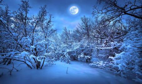 Winter Solstice Almost Full Moon Hike Campfire Griffith In 46319