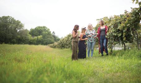 Vineyard walk