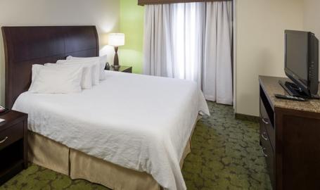 Hilton Garden Inn Merrillville Hotel king