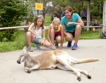 A mother and two daughters croutching near a kangaroo at the Columbus Zoo and Aquarium.