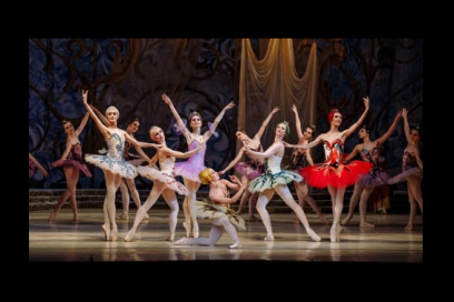 The State Ballet Theatre of Ukraine