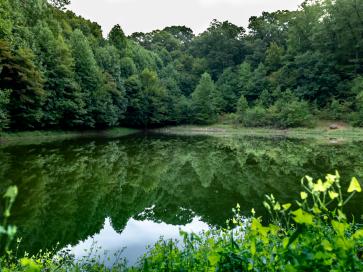 Hook, Line, and Simple: Intro to Fishing