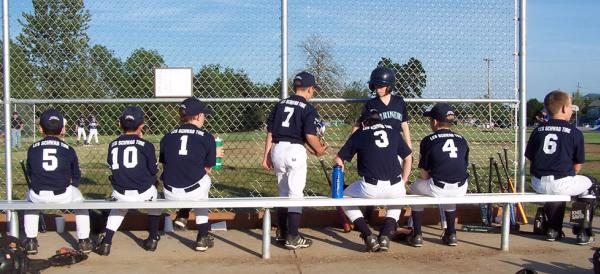 Baseball at Trainsong Park