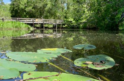 Edward Ball Nature Trail