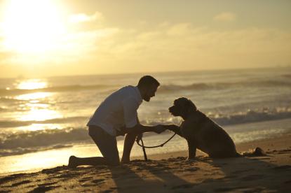 Man & dog on beach at sunset