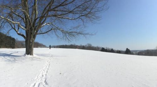 The summit of baldpate mountain covered in snow