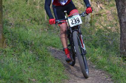 Chickasaw Trace Classic