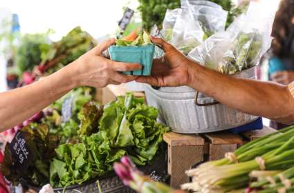 Farmers Market