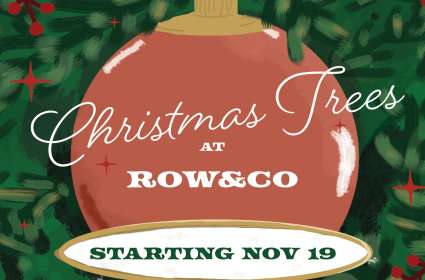Christmas Trees at Row&Co