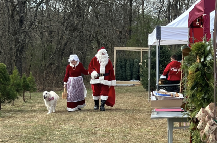 Holcomb Christmas Tree Farm