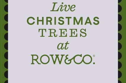 Live Christmas Trees at Row & Co.