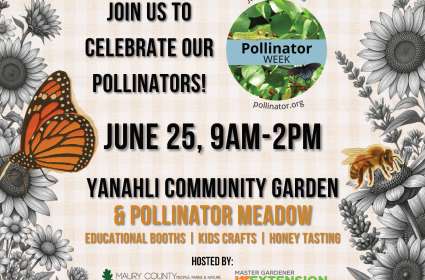 Pollinator Week Celebration - Maury County Master Gardeners
