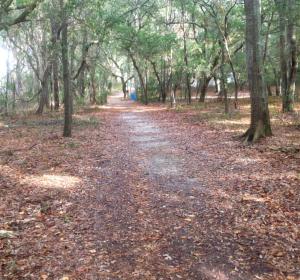 walking trail in Snows Cut Park in Carolina Beach