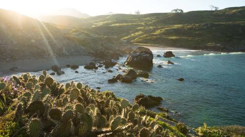 Catalina Conservancy Background