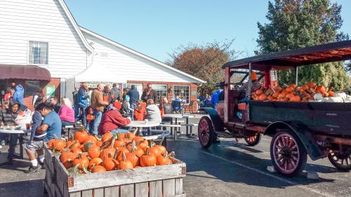 Pumpkins and fall event at Huber's Orchard