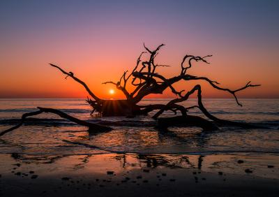 Daybreak at Driftwood Beach