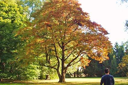 Horticulture Park