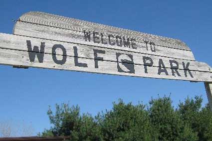 Wolf Park