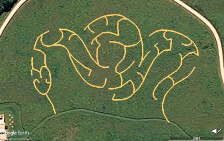 The 2020 McCloud Prairie Maze celebrates the snake!