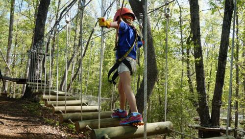 Treetop Quest Girl