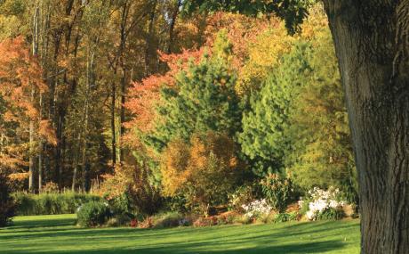 Chanticleer