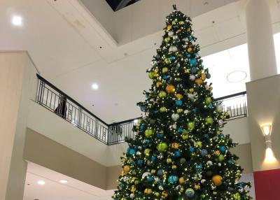 Colonie Center holiday