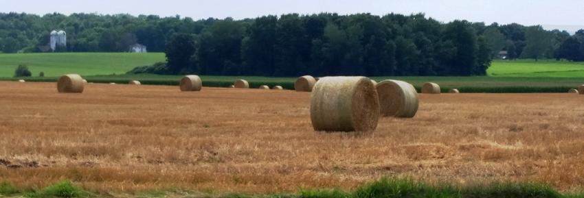 gorham-long-view-farmland
