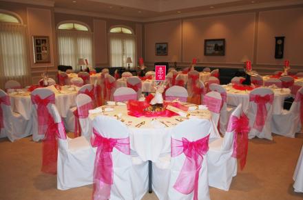 Wedding (with pink bows)