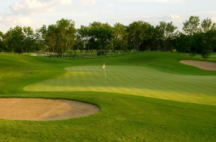 8 green