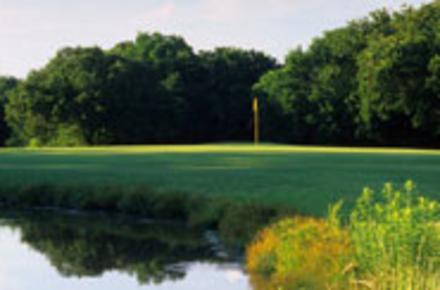 Texas Rangers Golf