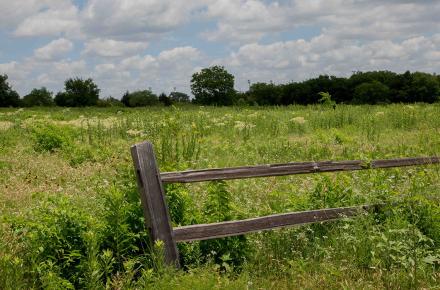 Blackland Prairie Park
