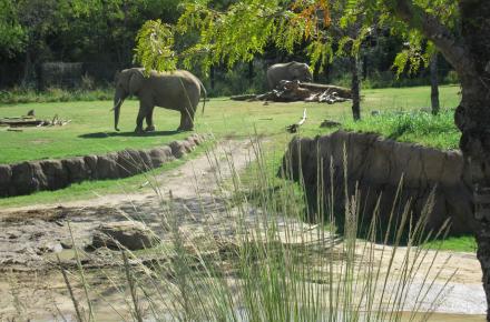 Dallas Zoo