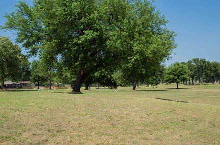 High Oak
