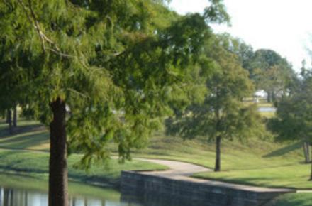 Richard Greene Linear Park