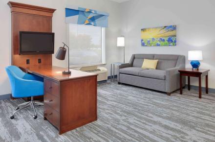 King Studio Suite w/Sofa Sleeper