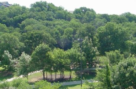 Green Oaks Blvd./ Rush-Village Creek Trail